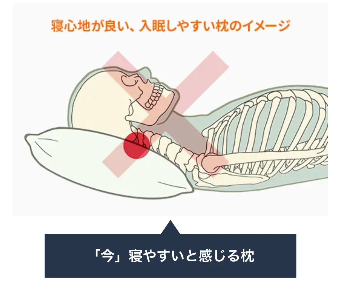 7. お問い合わせと無料体験セミナーのご案内